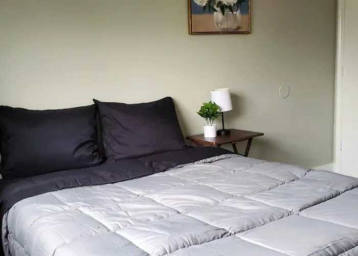 Homey 4Br Home In Converse Near Airforce Base
